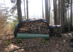 zwei mit Blachen gedeckte Holzbeigen im Wald unterhalb des Flüehli-Ranfts ob Sachsen